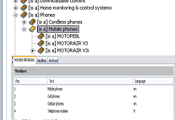 Add synonyms, translations and locale rules, then view taxonomy in any language