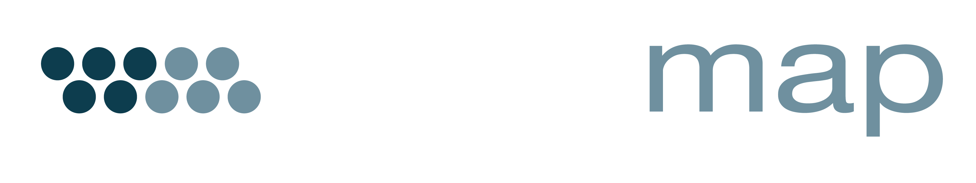 Wordmap logo